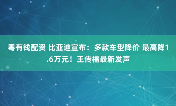 粤有钱配资 比亚迪宣布：多款车型降价 最高降1.6万元！王传福最新发声