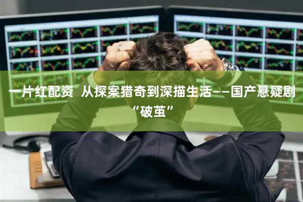 一片红配资  从探案猎奇到深描生活——国产悬疑剧“破茧”
