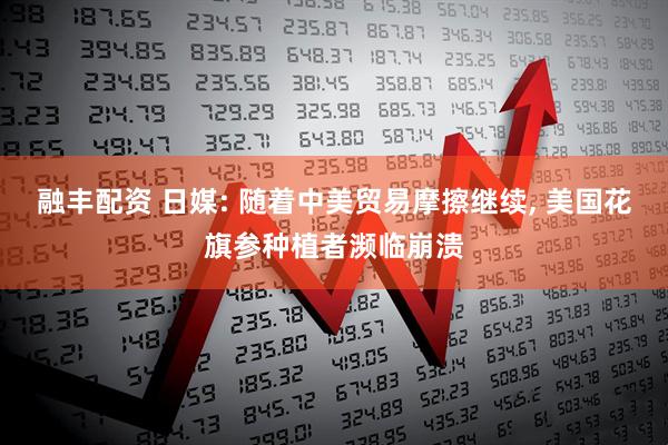 融丰配资 日媒: 随着中美贸易摩擦继续, 美国花旗参种植者濒临崩溃