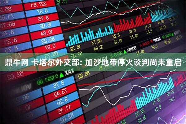 鼎牛网 卡塔尔外交部: 加沙地带停火谈判尚未重启
