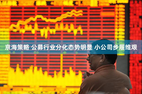 京海策略 公募行业分化态势明显 小公司步履维艰