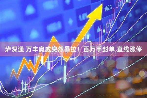泸深通 万丰奥威突然暴拉！百万手封单 直线涨停
