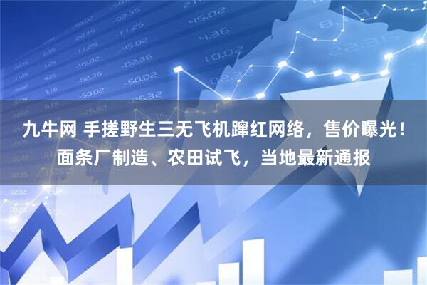 九牛网 手搓野生三无飞机蹿红网络，售价曝光！面条厂制造、农田试飞，当地最新通报