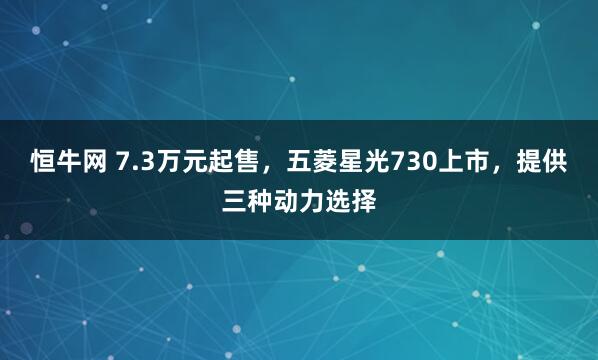 恒牛网 7.3万元起售，五菱星光730上市，提供三种动力选择