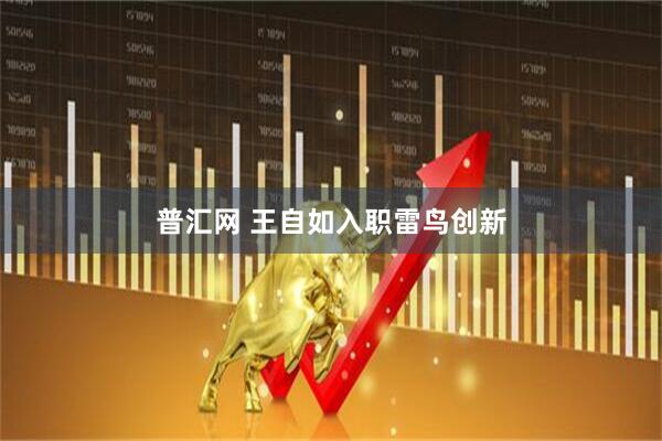 普汇网 王自如入职雷鸟创新