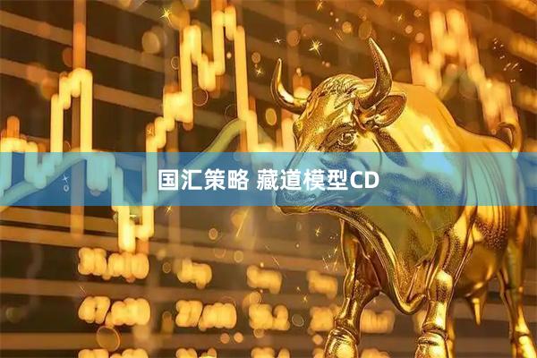 国汇策略 藏道模型CD