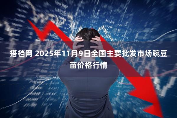搭档网 2025年11月9日全国主要批发市场豌豆苗价格行情