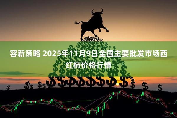 容新策略 2025年11月9日全国主要批发市场西红柿价格行情