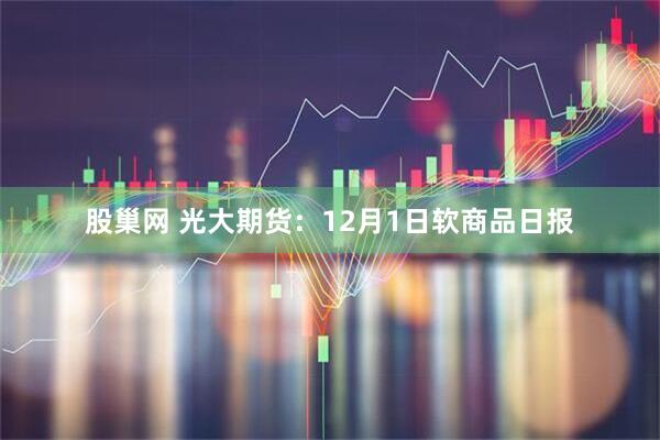 股巢网 光大期货：12月1日软商品日报